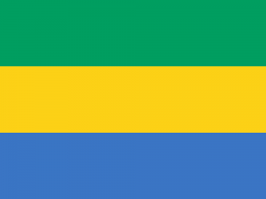 Stratégie Nationale de Développement du Gabon