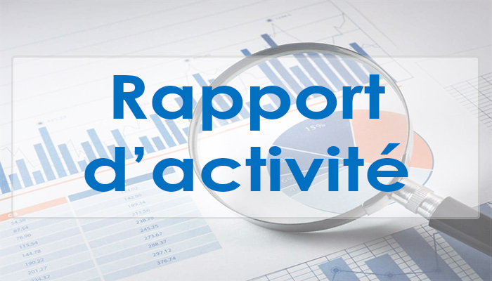 Rapport d'activite